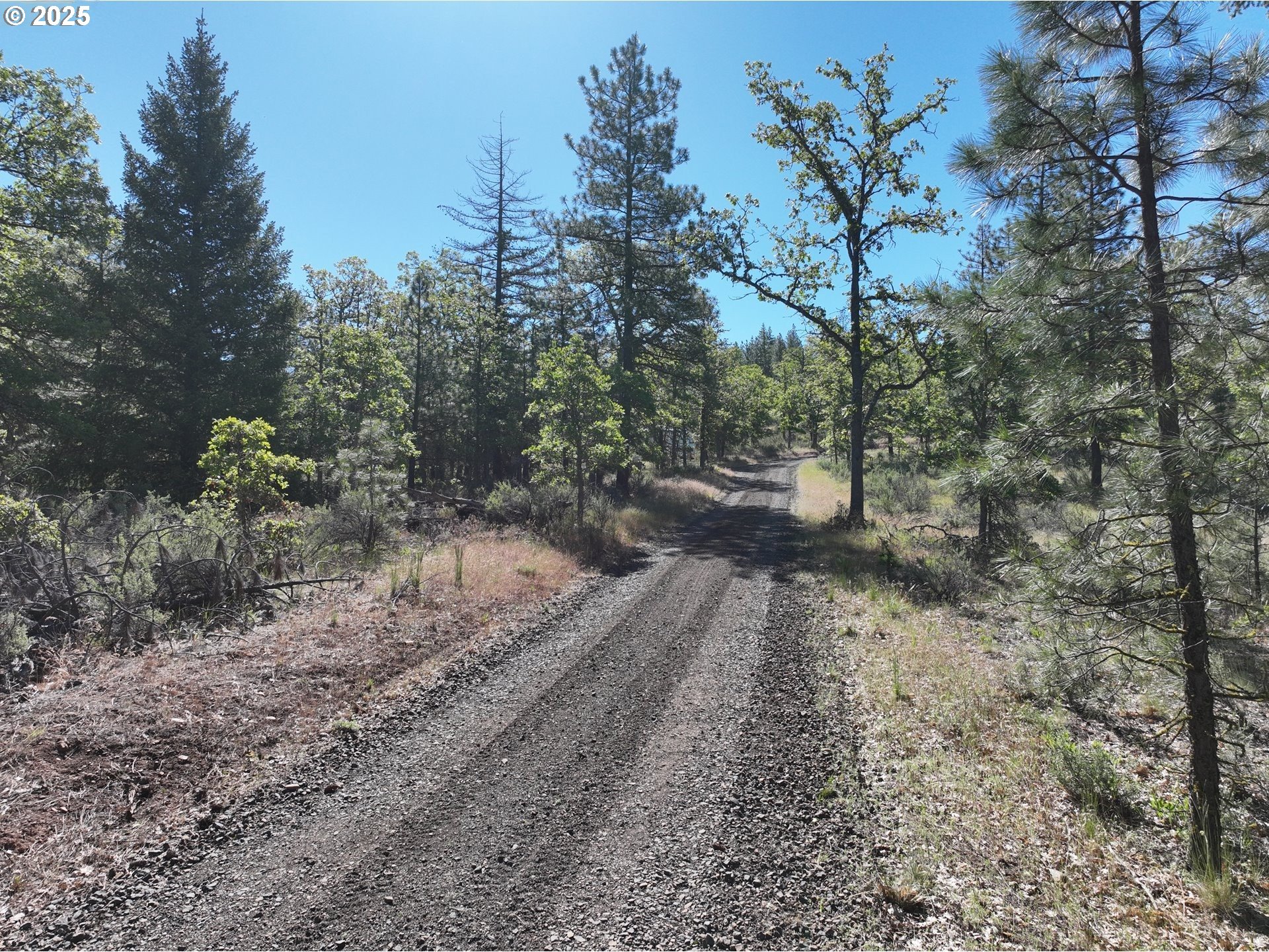 104 Jenkins Creek Road Goldendale, WA 98620 - Photo 38 of 45 a view of a yard with trees