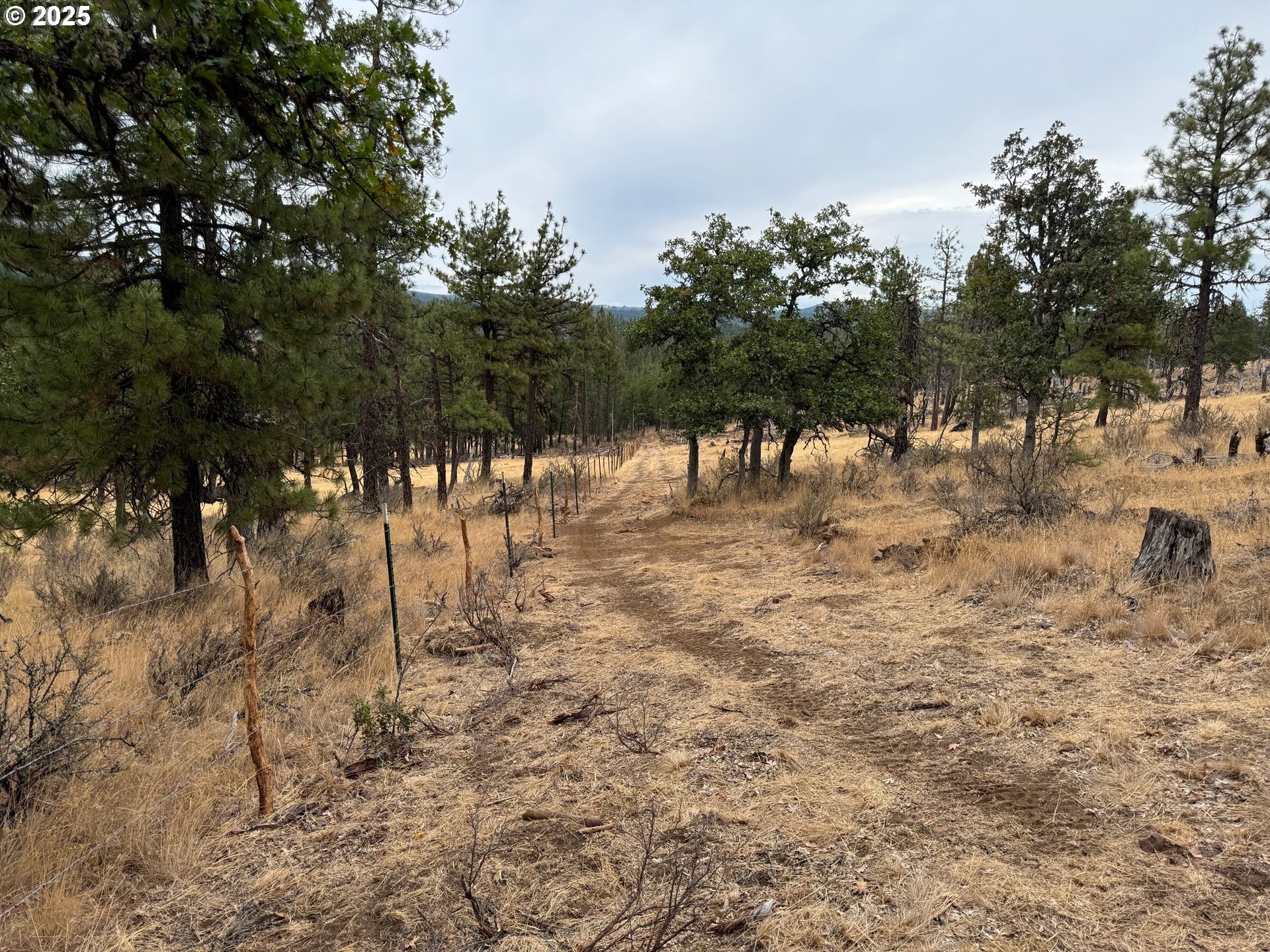 104 Jenkins Creek Road Goldendale, WA 98620 - Photo 40 of 45 a view of a yard with a tree