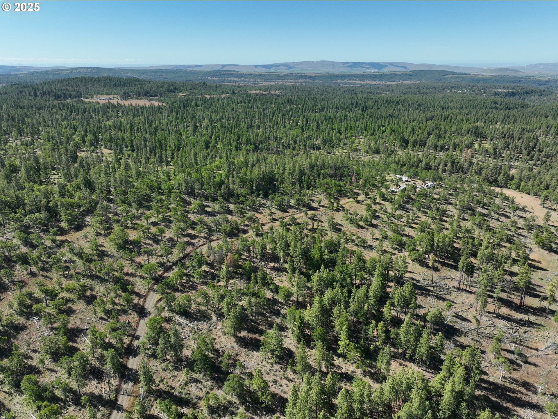 104 Jenkins Creek Road Goldendale, WA 98620 - Photo 4 of 45 an aerial view of residential houses with outdoor space and trees