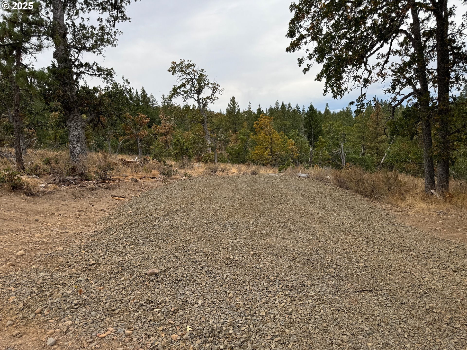 104 Jenkins Creek Road Goldendale, WA 98620 - Photo 41 of 45 a big yard with lots of green space