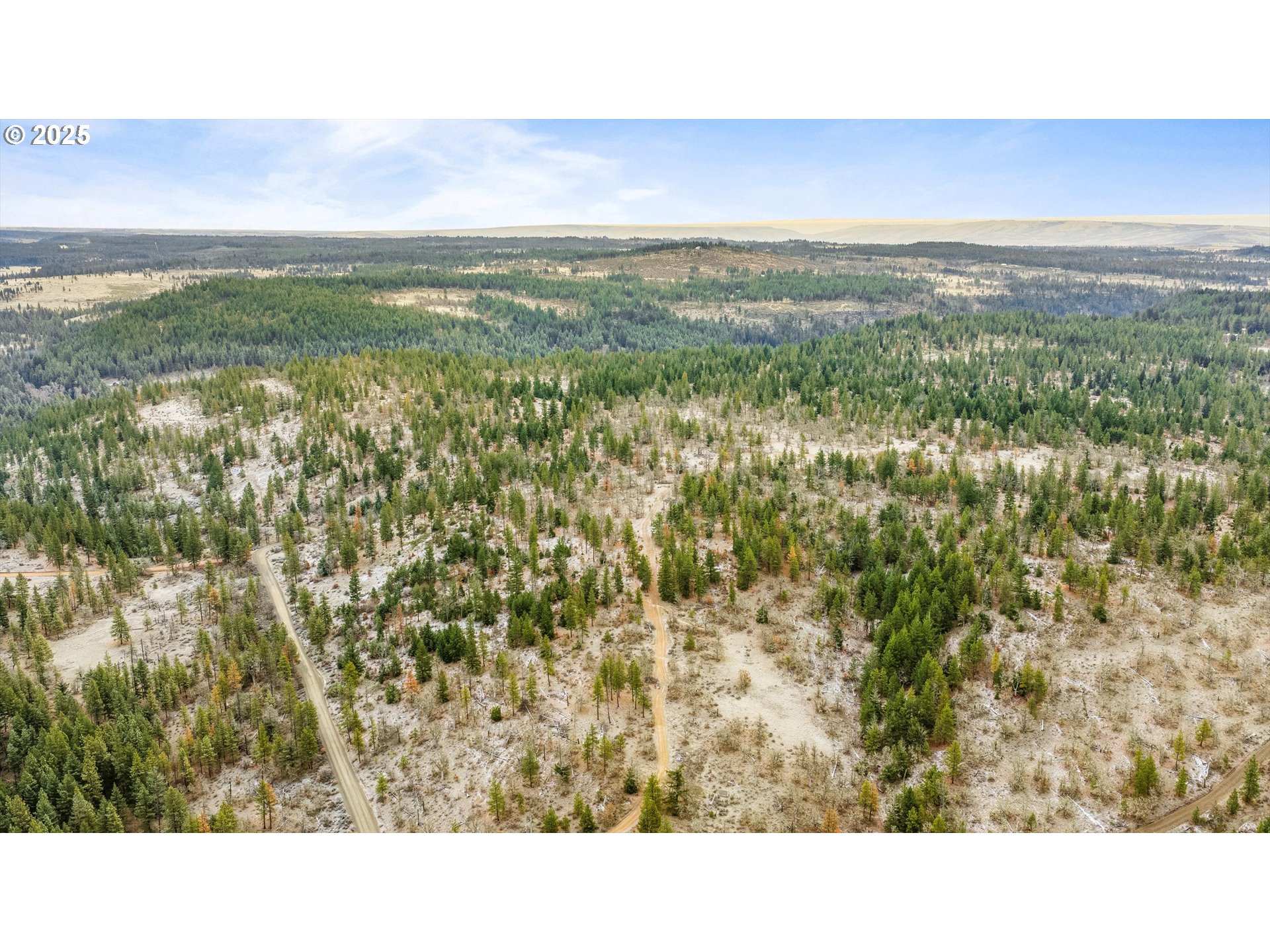 104 Jenkins Creek Road Goldendale, WA 98620 - Photo 45 of 45 a black and white photo of a city