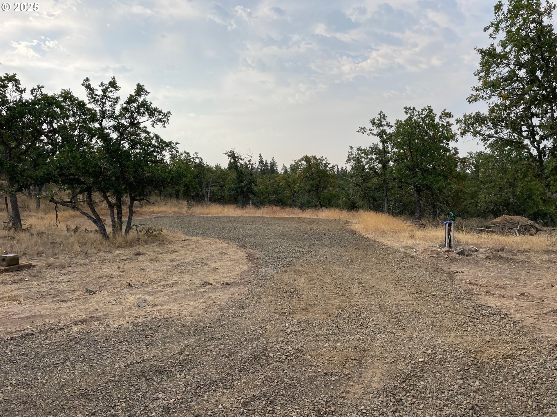 104 Jenkins Creek Road Goldendale, WA 98620 - Photo 9 of 45 a view of a dry yard with trees