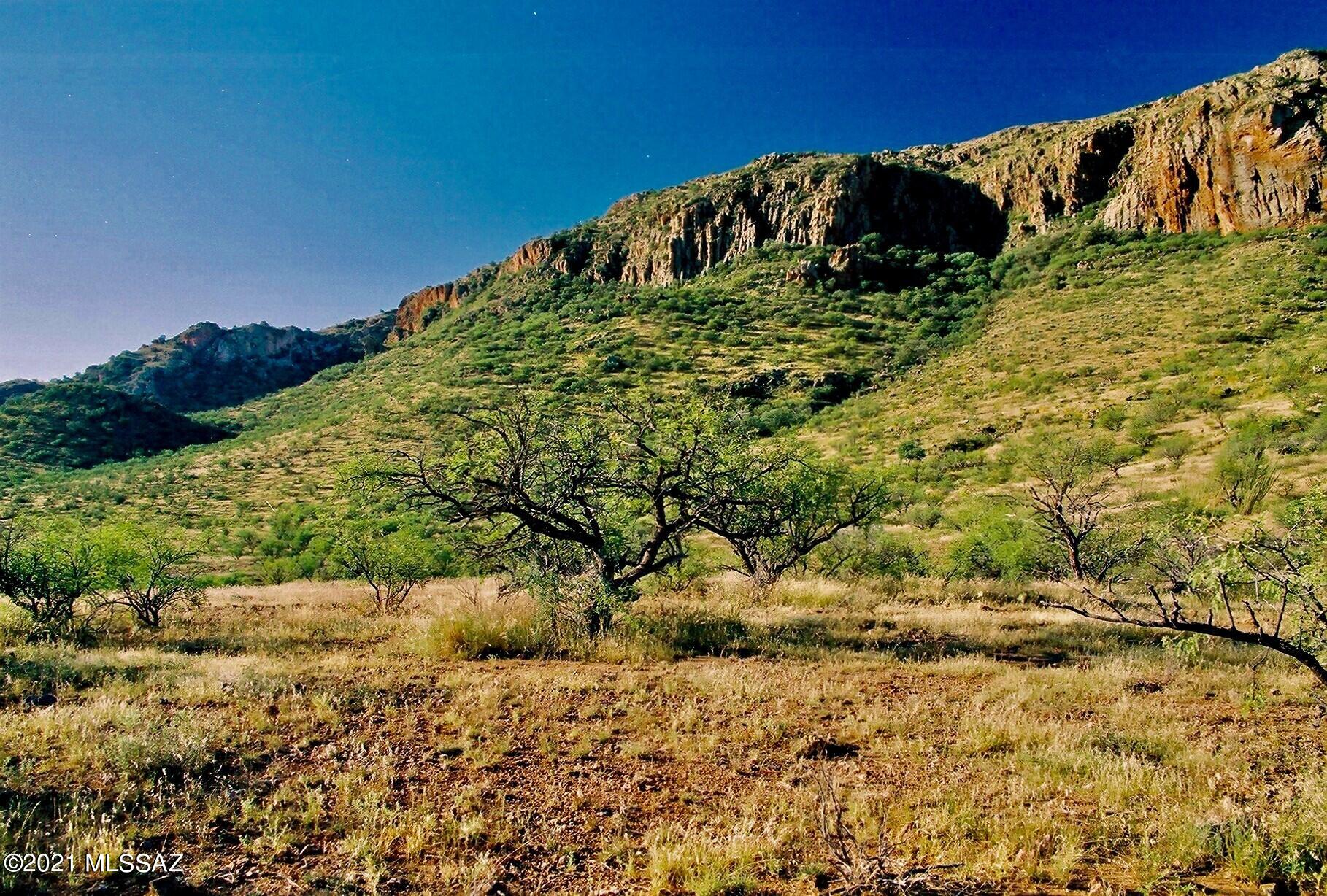 0 Tejano Springs Road, Unit 80 Rio Rico, AZ 85648 - Photo 4 of 23