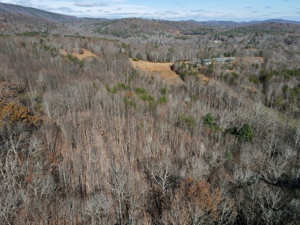 Old Mill Road Patrick Springs, VA 24133 - Photo 12 of 49 Gallery Image 12