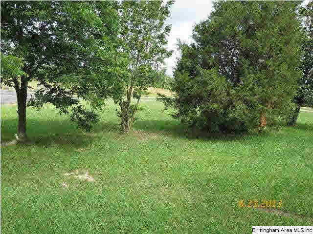 412 Camp Road Hackleburg, AL 35564 - Photo 24 of 24