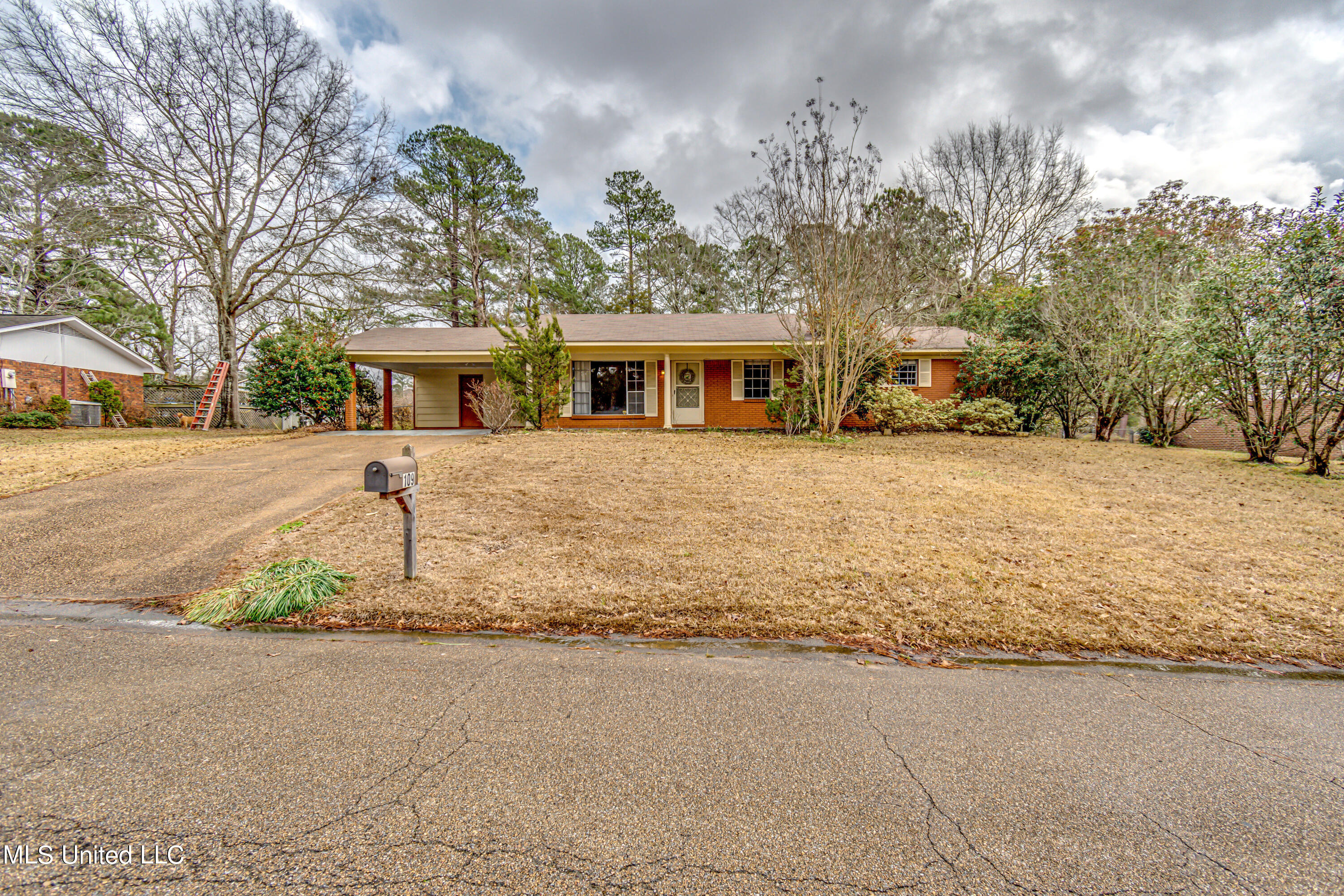 109 Springridge Dr--47