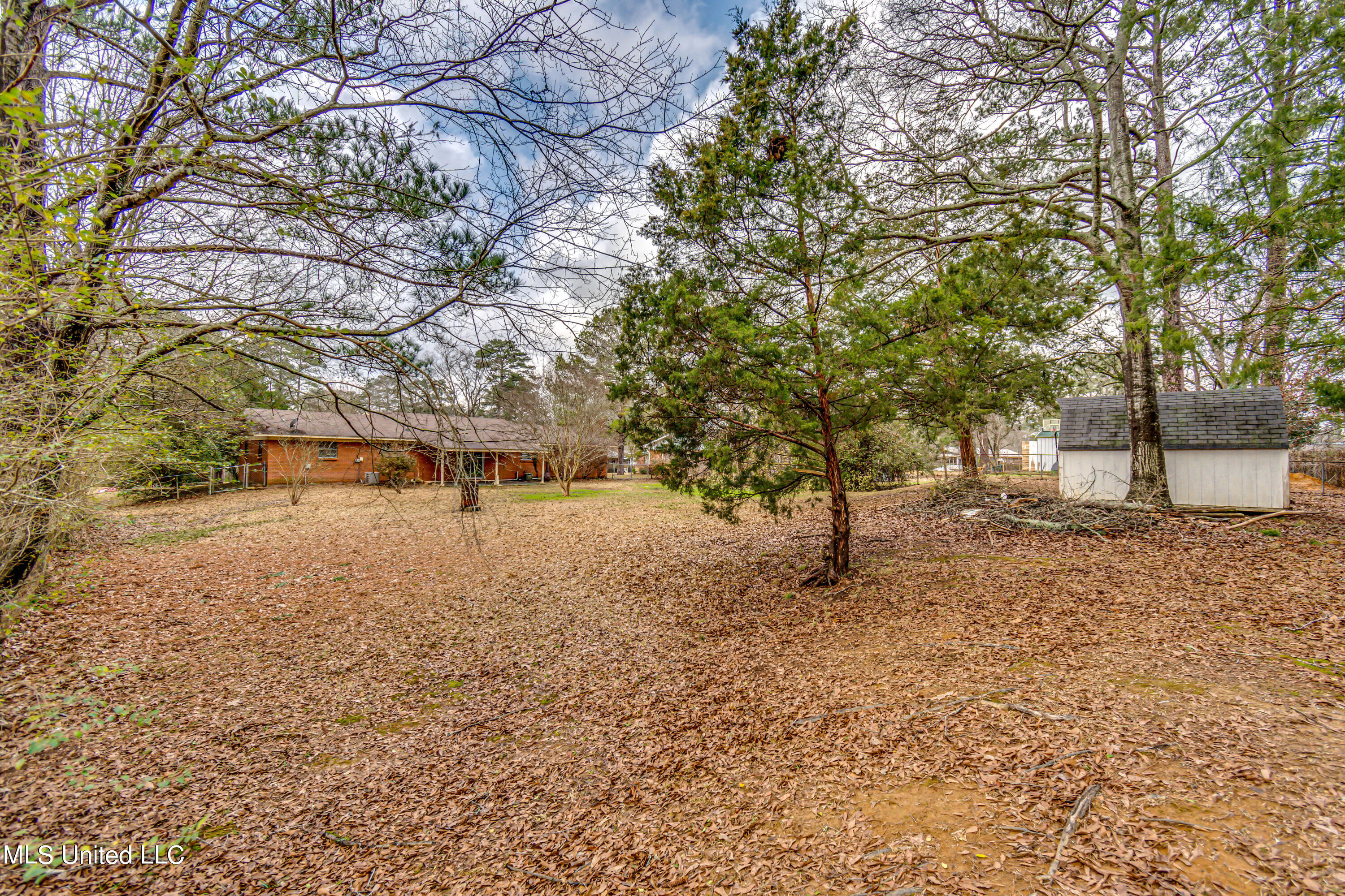 109 Springridge Drive Brandon, MS 39042 - Photo 45 of 47 109 Springridge Dr--44