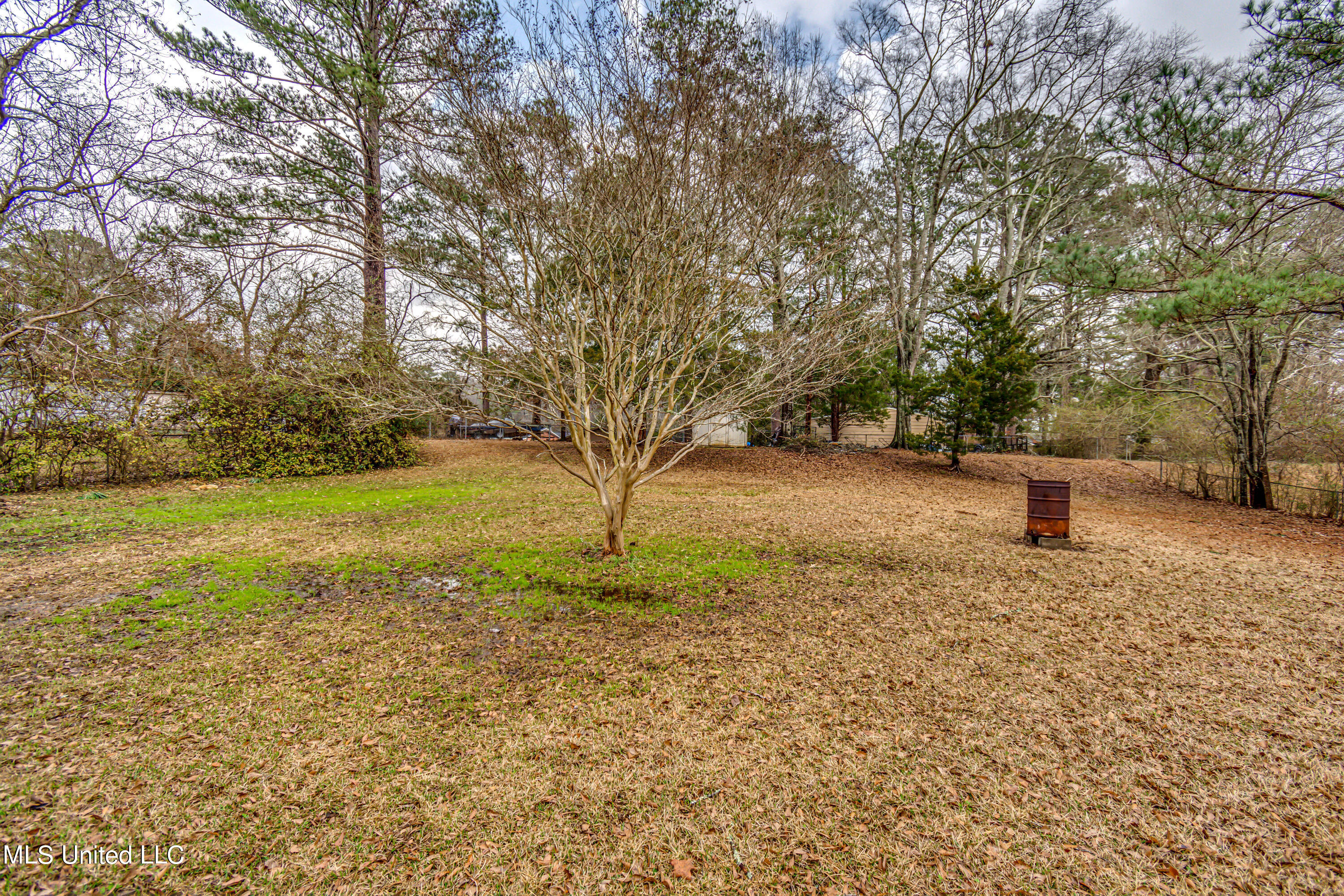 109 Springridge Drive Brandon, MS 39042 - Photo 46 of 47 109 Springridge Dr--45
