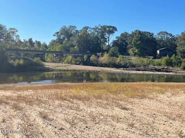 0 Dillons Bridge Road Tylertown, MS 39667 - Photo 2 of 8 IMG_3855