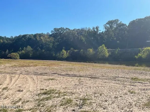 $72,500 | 0 Dillons Bridge Road, Tylertown, MS 39667