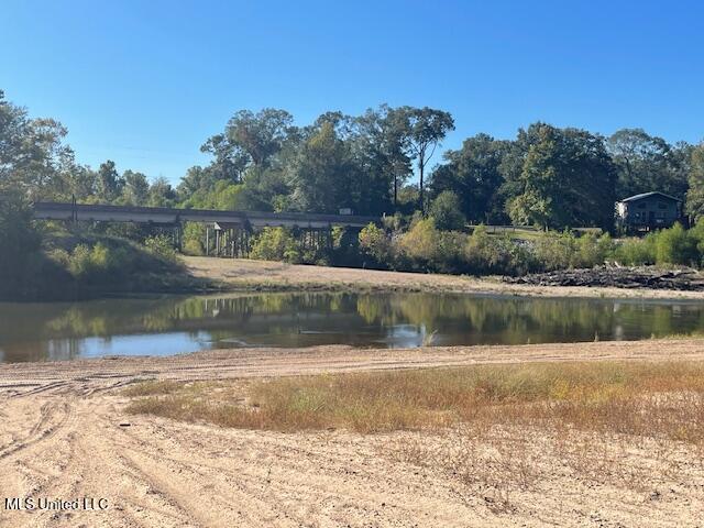 0 Dillons Bridge Road Tylertown, MS 39667 - Photo 7 of 8 IMG_3857