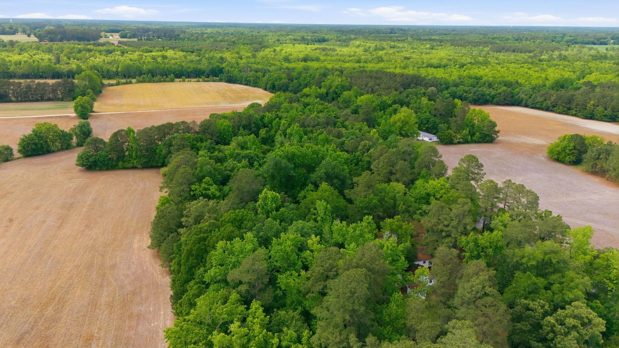 5347 State Rd S-34-29 Mullins, SC 29574 - Photo 48 of 59