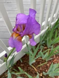 435 East Woodmen Road Colorado Springs, CO 80919 - Photo 45 of 50 a view of a book