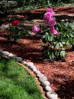 435 East Woodmen Road Colorado Springs, CO 80919 - Photo 49 of 50