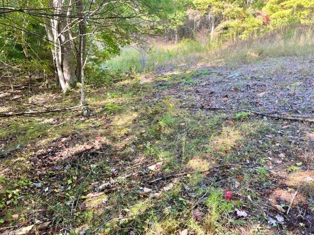 5-acres Langhorne Road, Unit SEE COMMENTS Pulaski, VA 24301 - Photo 24 of 24 Gallery Image 24