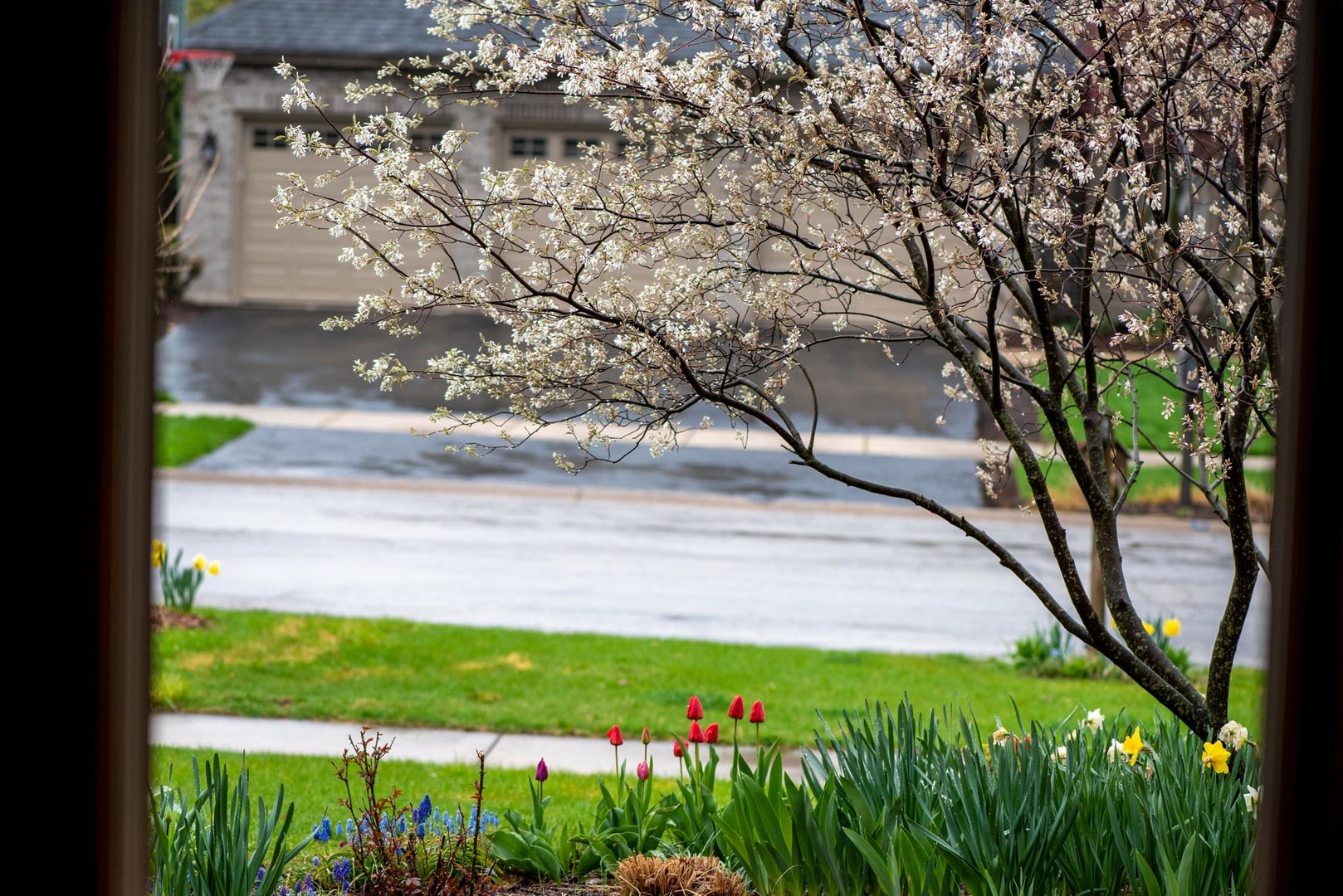 911 Leverenz Road Naperville, IL 60565 - Photo 46 of 52 Gallery Image 46