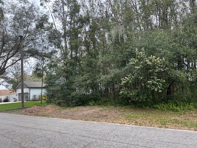 Pennsylvania Ave Lake West Lake Helen, FL 32744 - Photo 1 of 1 a view of a out door space area