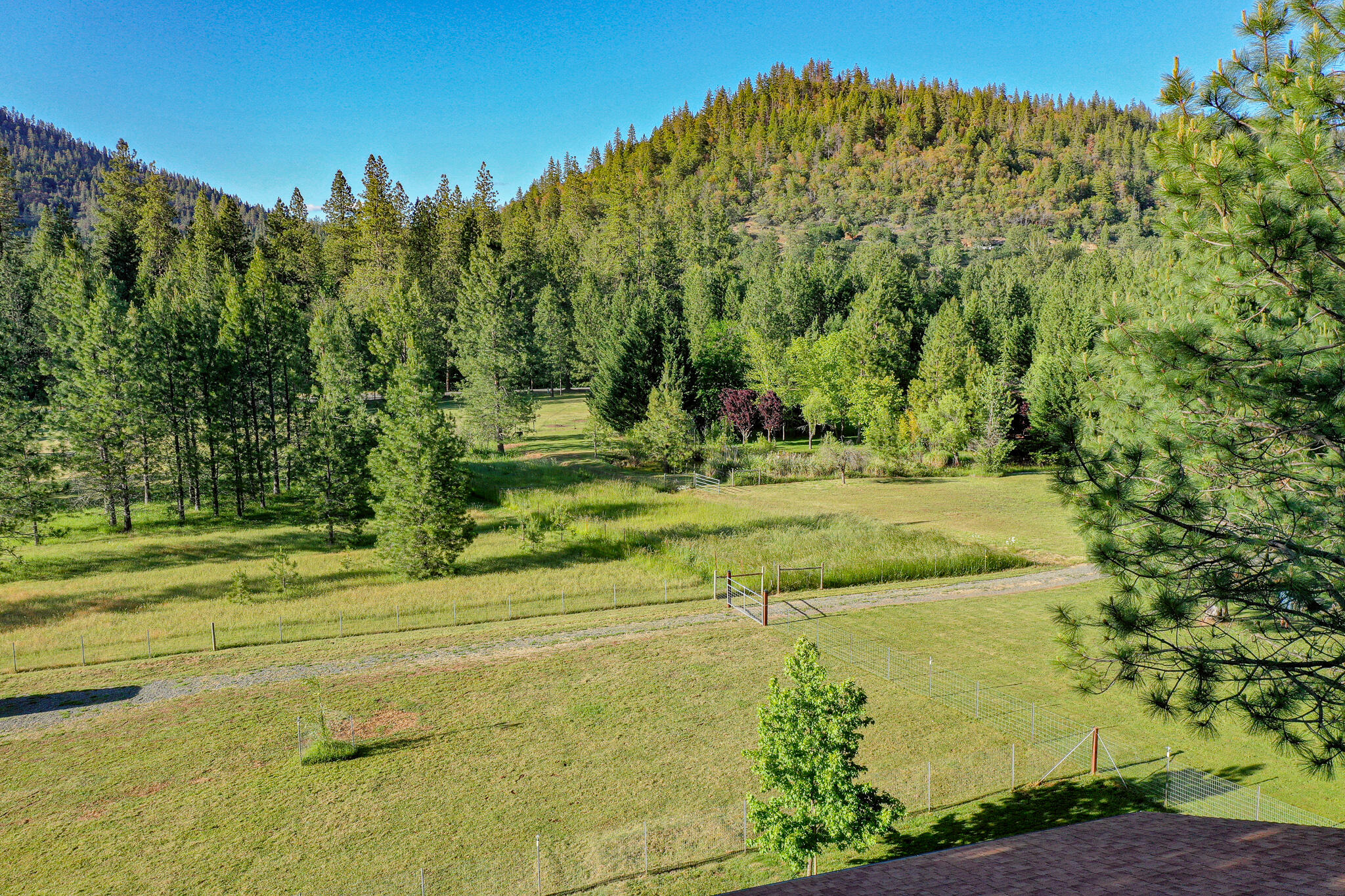 186 Felkner Road Grants Pass, OR 97527 - Photo 50 of 68 DJI_0974
