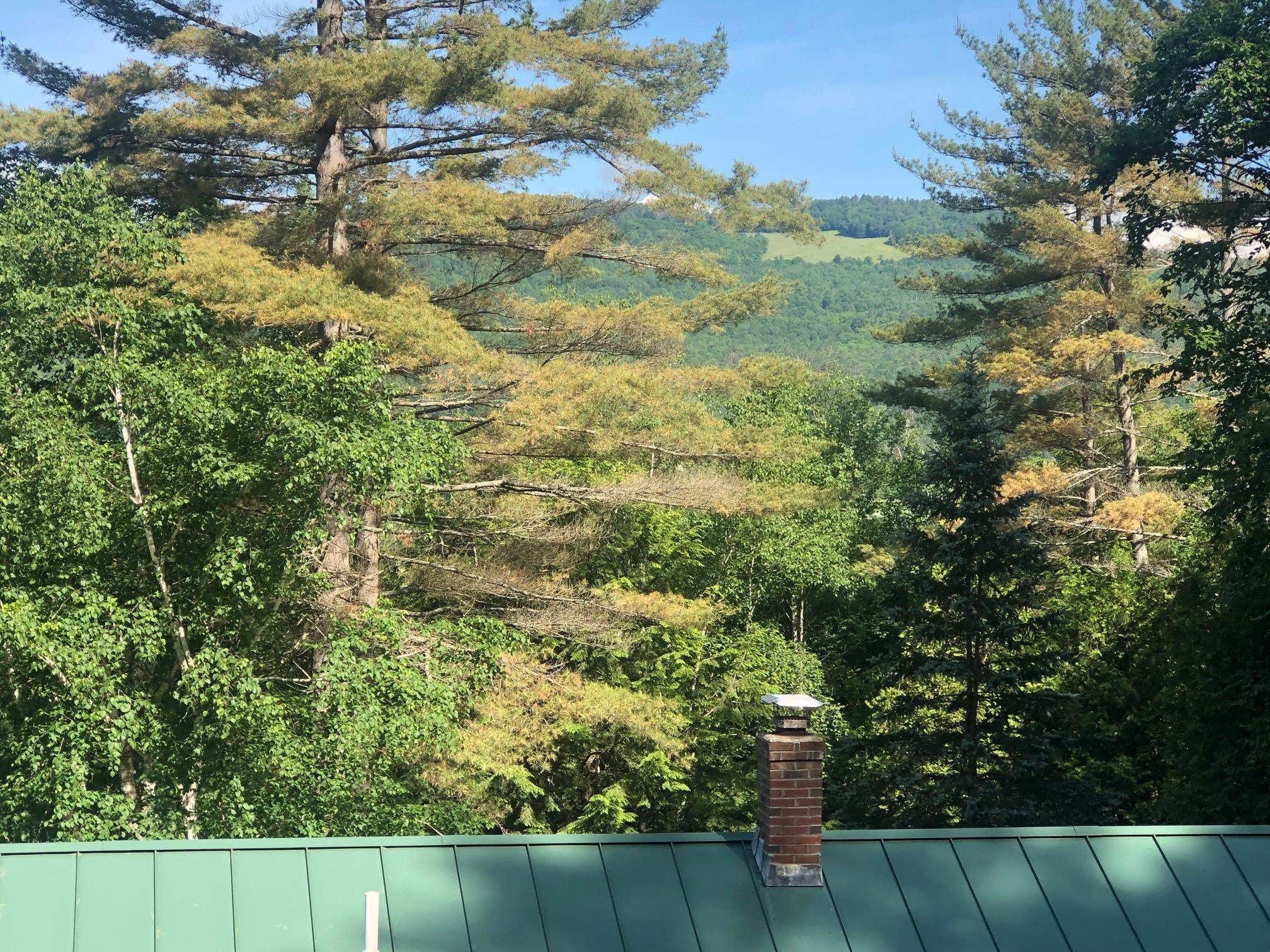 366 Littleton Road Monroe, NH 03771 - Photo 9 of 38