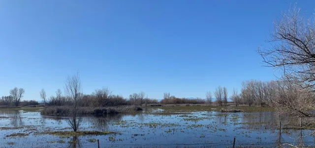 a view of a yard with wooden fence