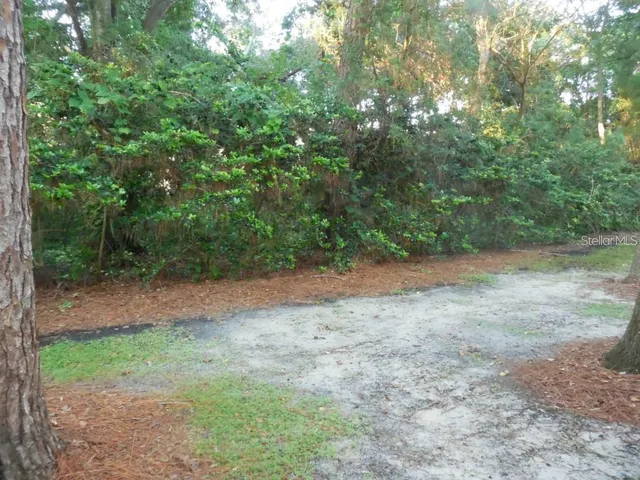 a view of a yard with a tree