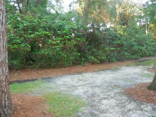 a view of a yard with a tree