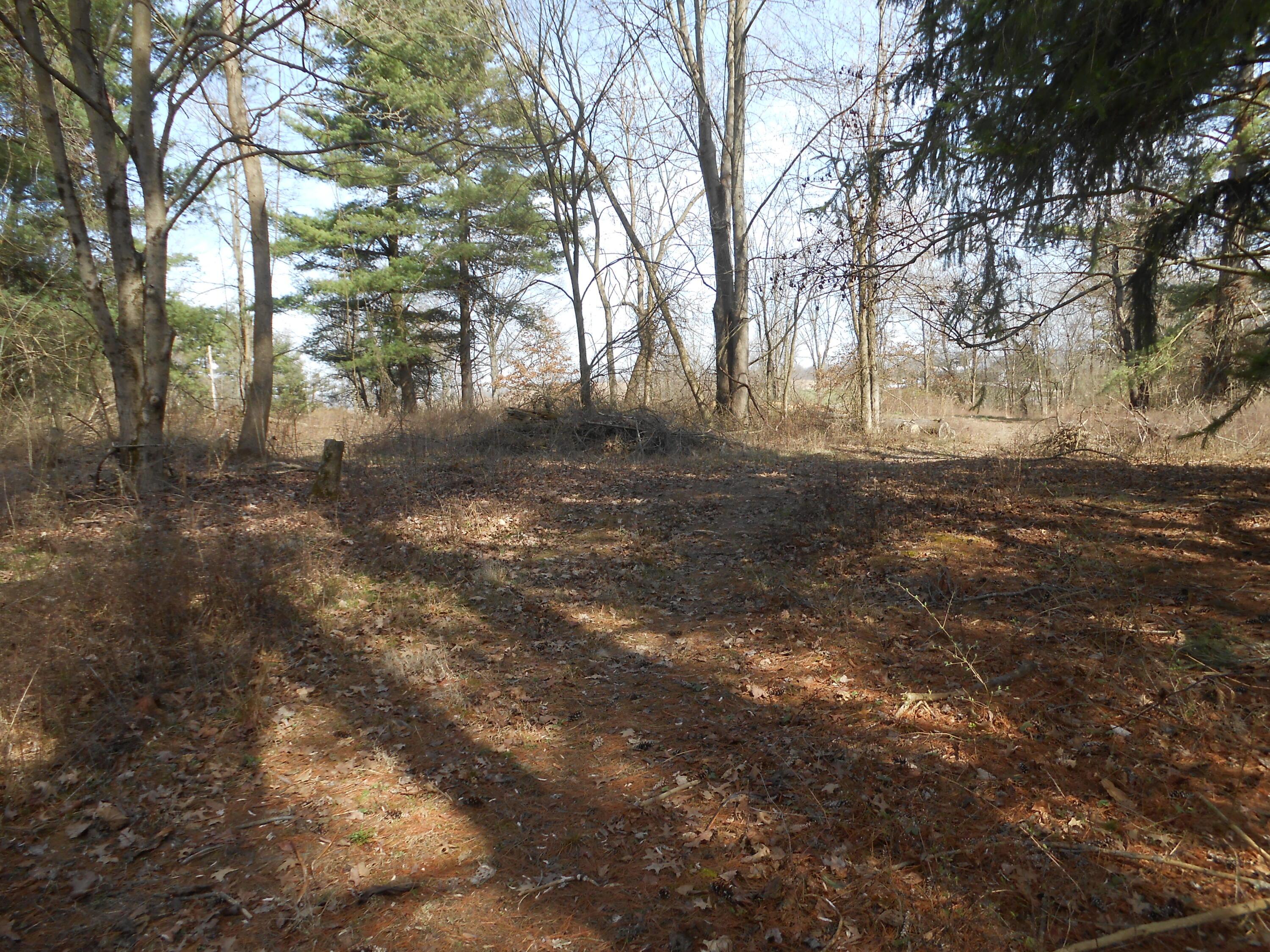 6570 Lancaster Road Hebron, OH 43025 - Photo 20 of 25 DSCN9858