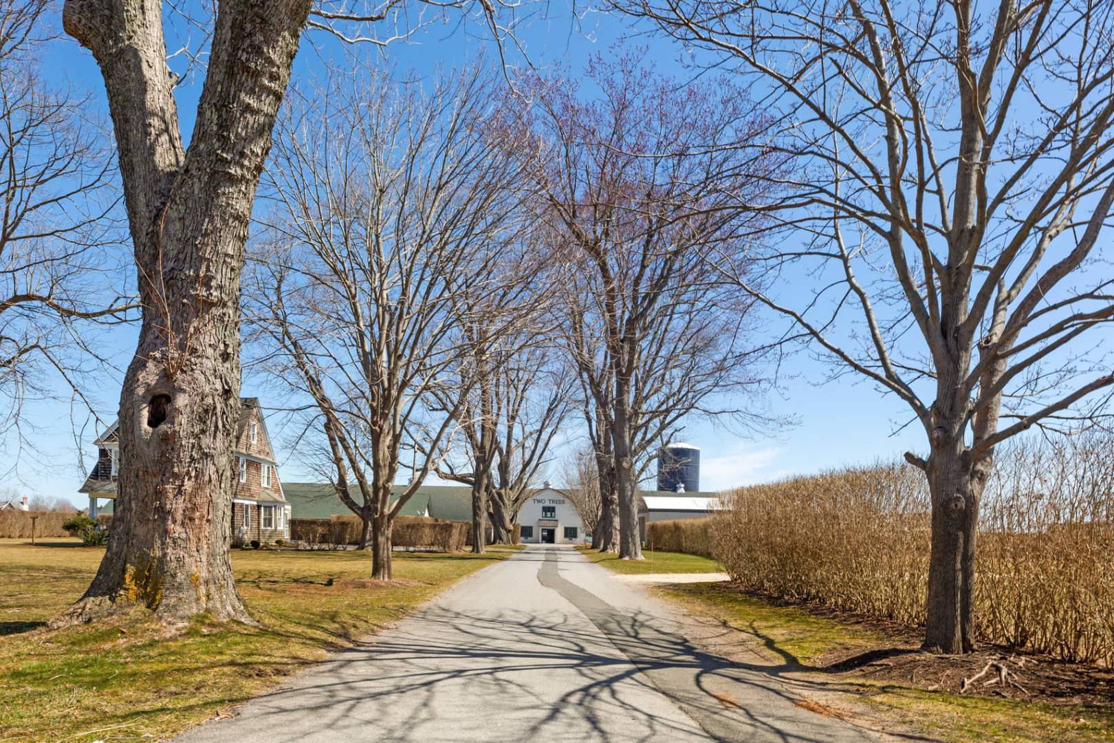 849 Hayground Road Water Mill, NY 11976 - Photo 7 of 31 a yellow house with trees in front of it