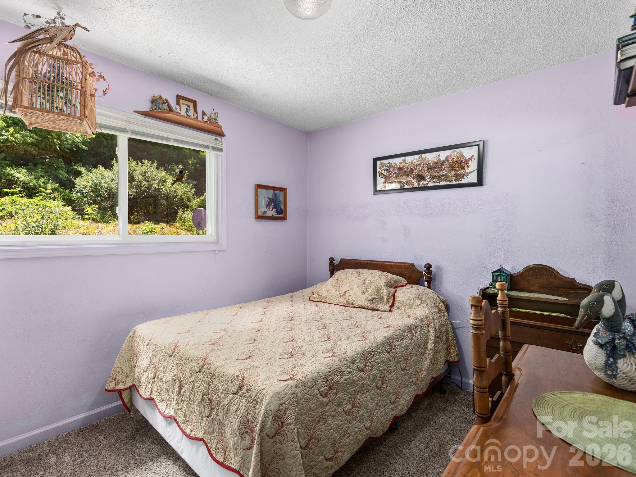 46 Perennial Ridge Weaverville, NC 28787 - Photo 23 of 44