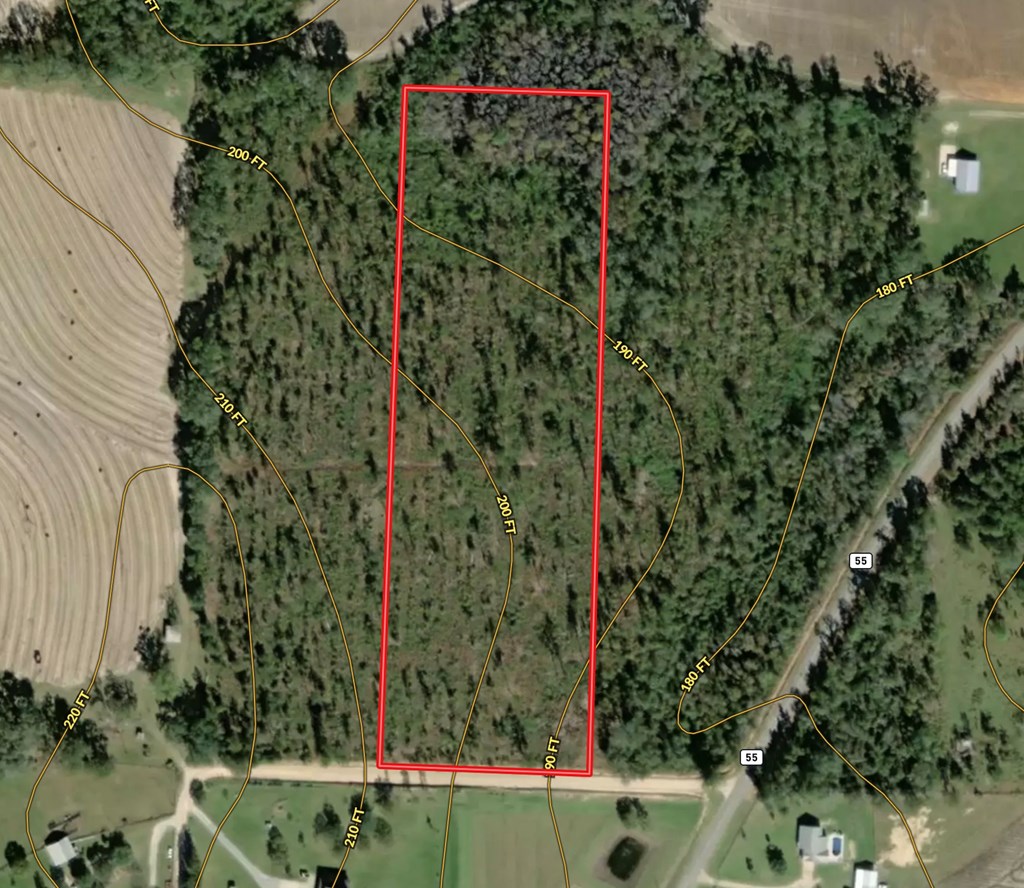 22-acres Donzell Road Cottonwood, AL 36320 - Photo 15 of 15