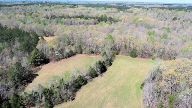 $455,000 | 0 Stewart Cemetery Lane, Enville, TN 38332