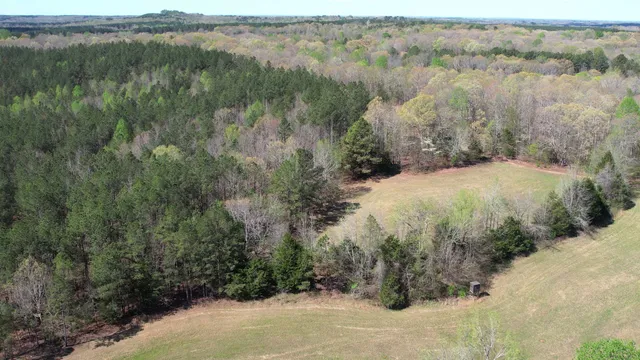 $455,000 | 0 Stewart Cemetery Lane, Enville, TN 38332