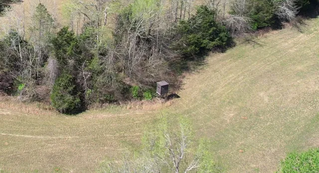 $455,000 | 0 Stewart Cemetery Lane, Enville, TN 38332