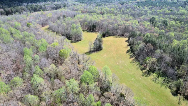 $455,000 | 0 Stewart Cemetery Lane, Enville, TN 38332