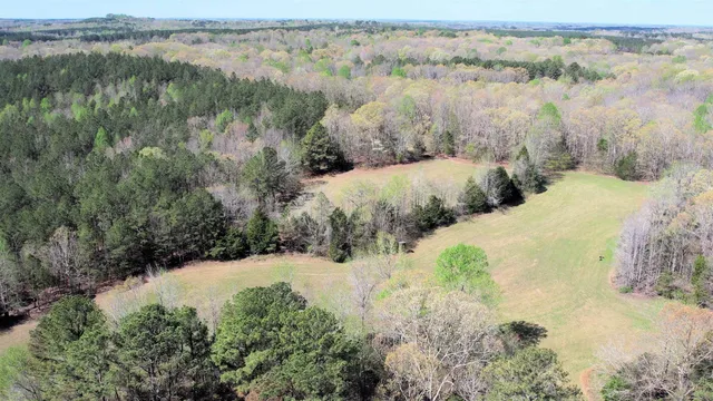 $455,000 | 0 Stewart Cemetery Lane, Enville, TN 38332