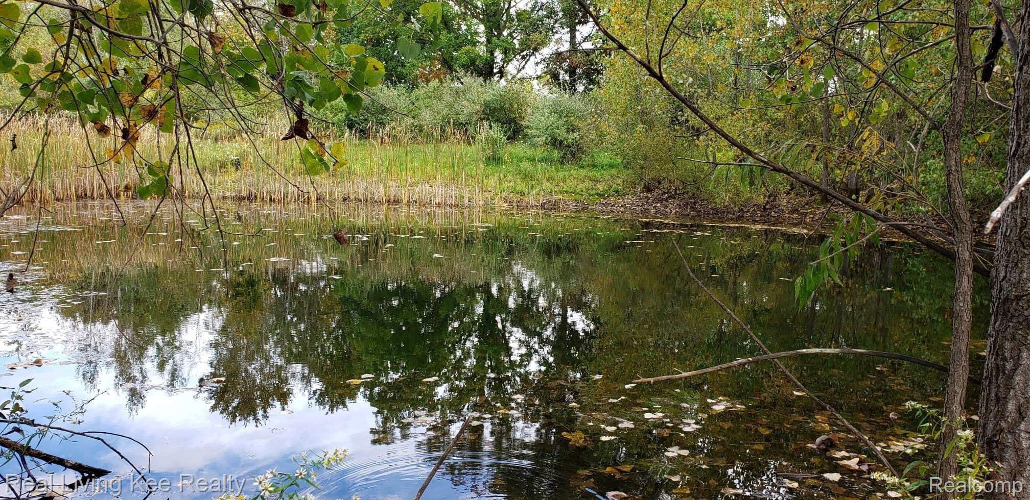 3849 Williams Road Columbiaville, MI 48421 - Photo 25 of 27 Pond.jpg