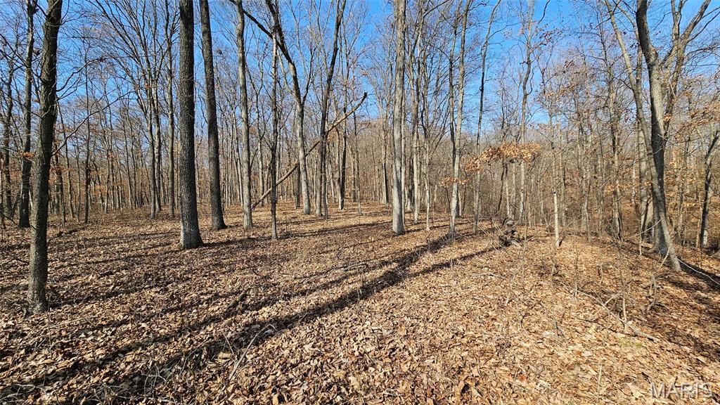 205 Hemsath Road Augusta, MO 63332 - Photo 12 of 47