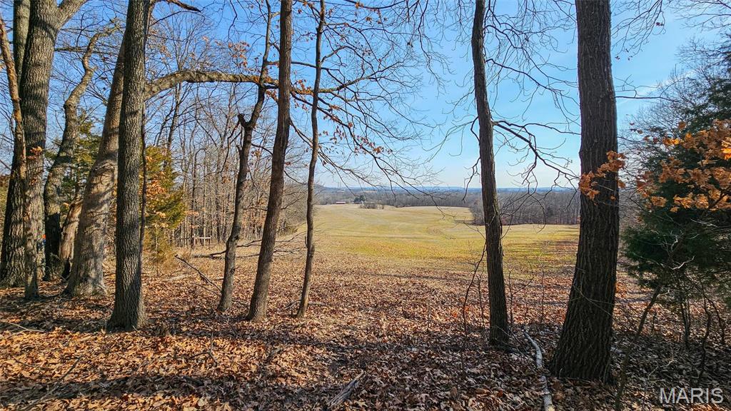 205 Hemsath Road Augusta, MO 63332 - Photo 14 of 47