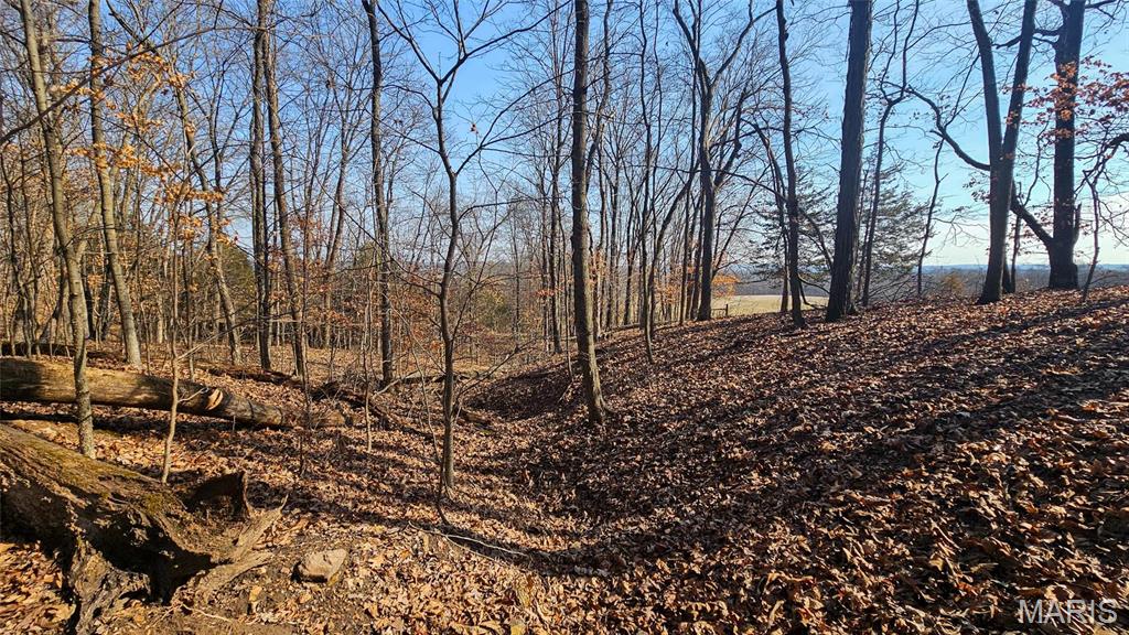 205 Hemsath Road Augusta, MO 63332 - Photo 15 of 47