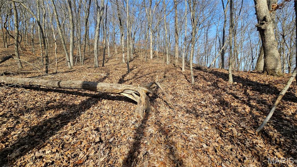 205 Hemsath Road Augusta, MO 63332 - Photo 16 of 47