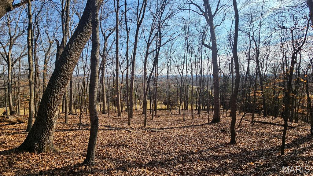 205 Hemsath Road Augusta, MO 63332 - Photo 17 of 47