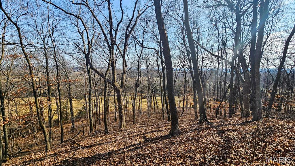 205 Hemsath Road Augusta, MO 63332 - Photo 18 of 47