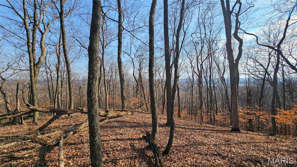 205 Hemsath Road Augusta, MO 63332 - Photo 20 of 47