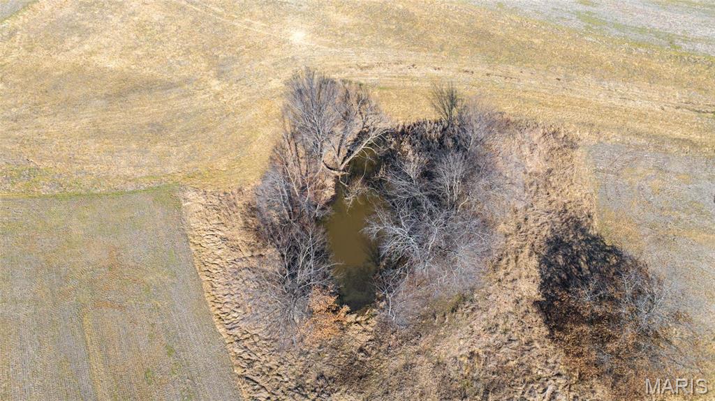 205 Hemsath Road Augusta, MO 63332 - Photo 38 of 47