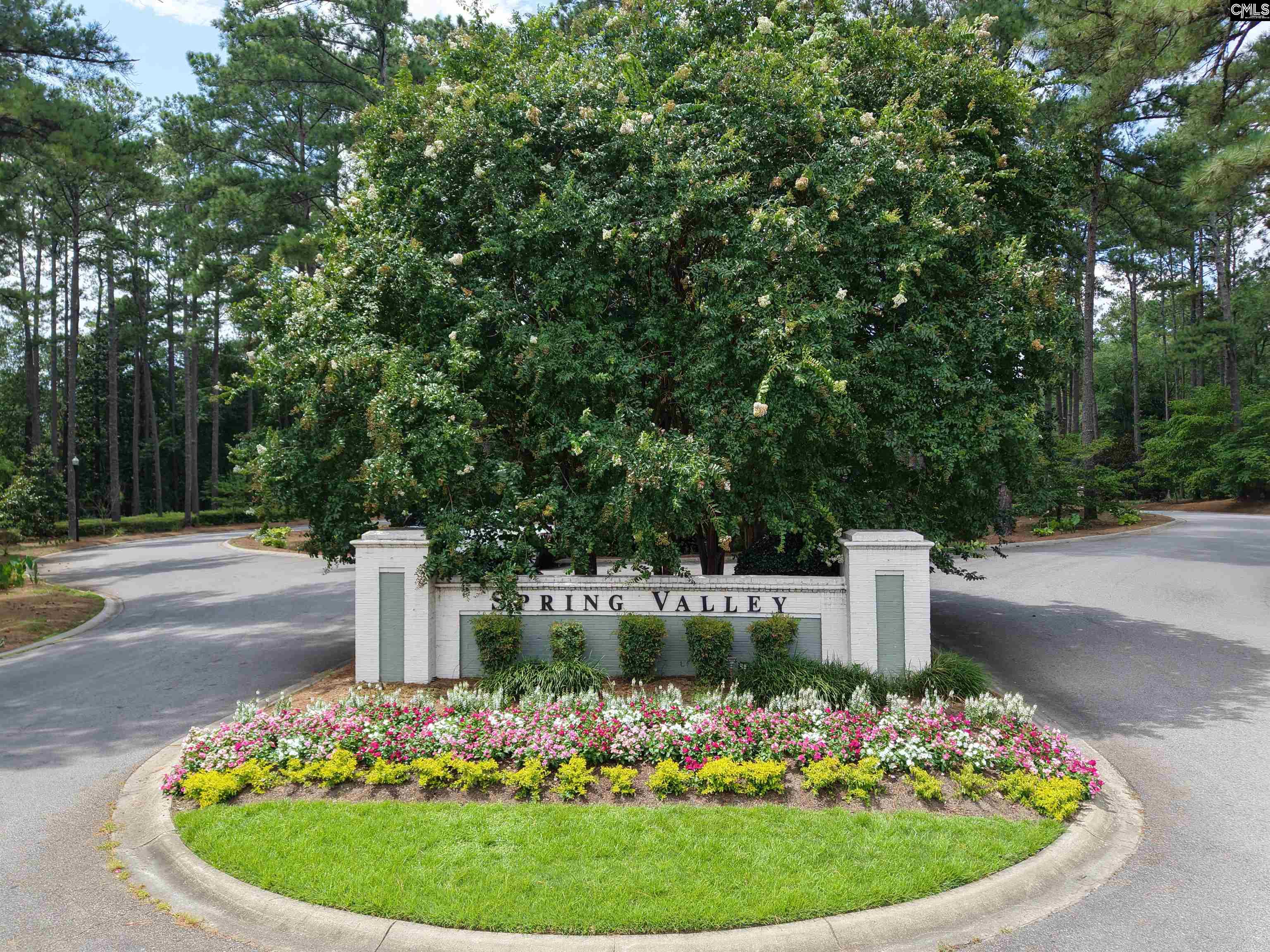 264 Southlake Road Columbia, SC 29223 - Photo 64 of 69