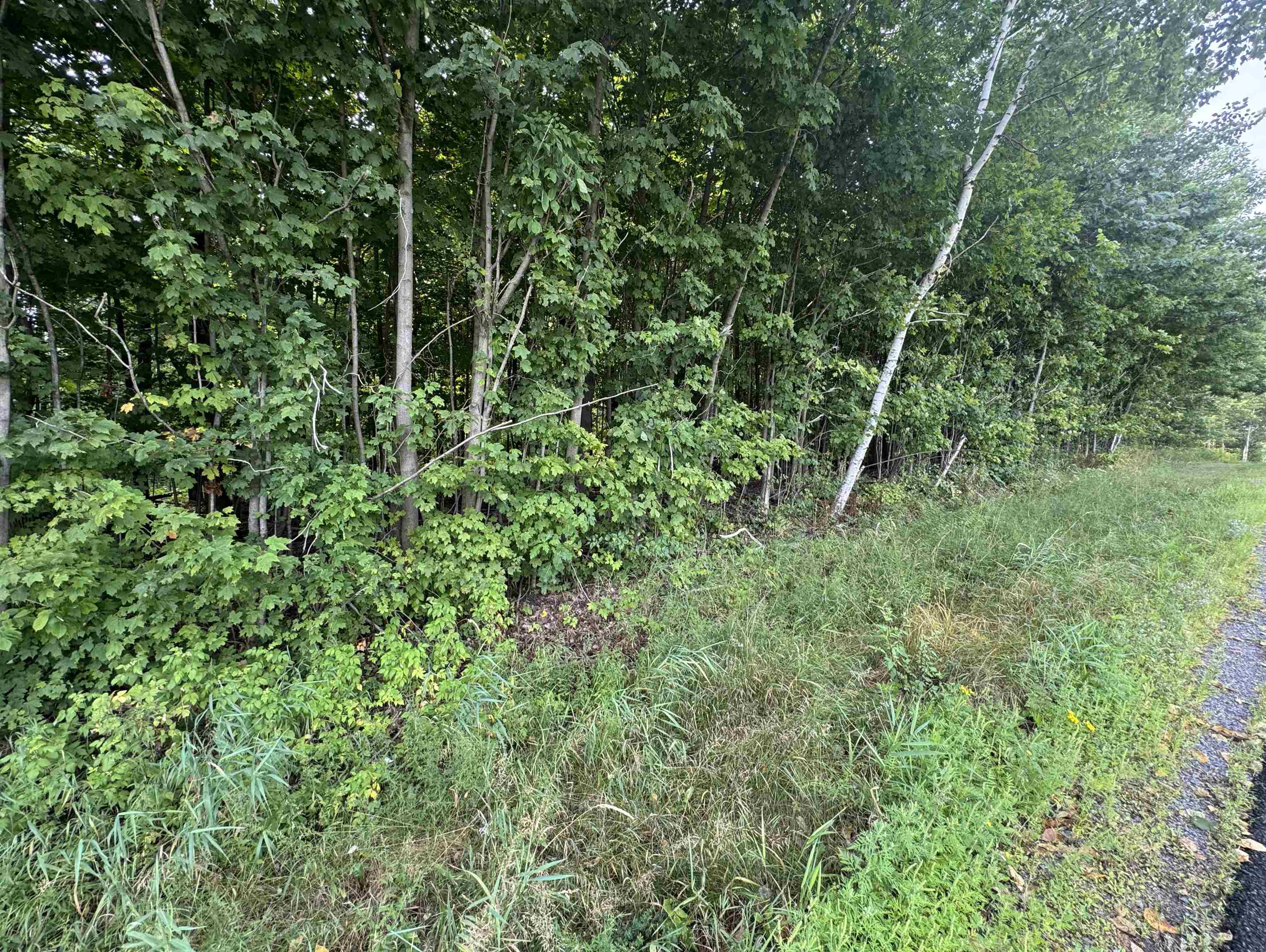 Lot 14 Burma Road Mosinee, WI 54455 - Photo 7 of 7 Gallery Image 7