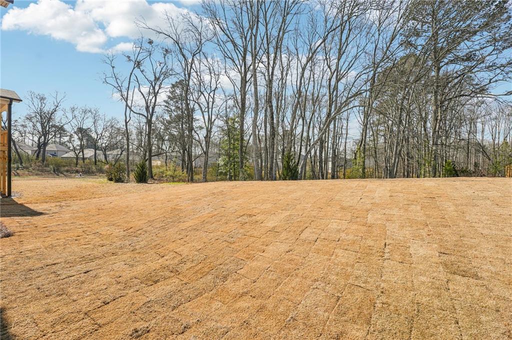 4412 Brick Tunl Street Powder Springs, GA 30127 - Photo 71 of 72