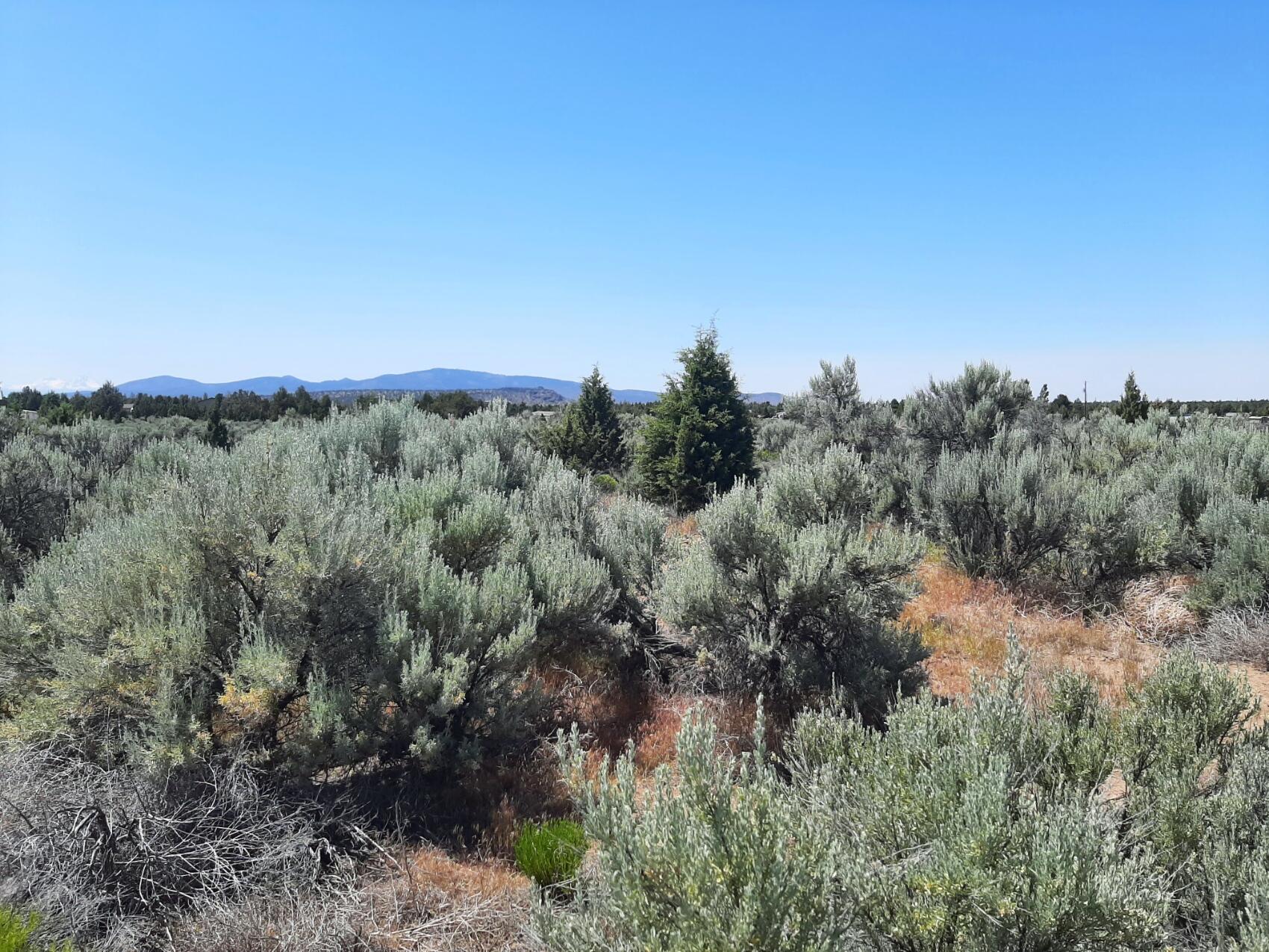 Southeast Snake Road Prineville, OR 97754 - Photo 6 of 11 6