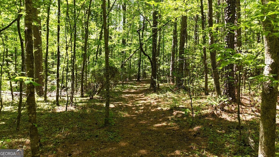 993 Cheatham Road Griffin, GA 30223 - Photo 11 of 15
