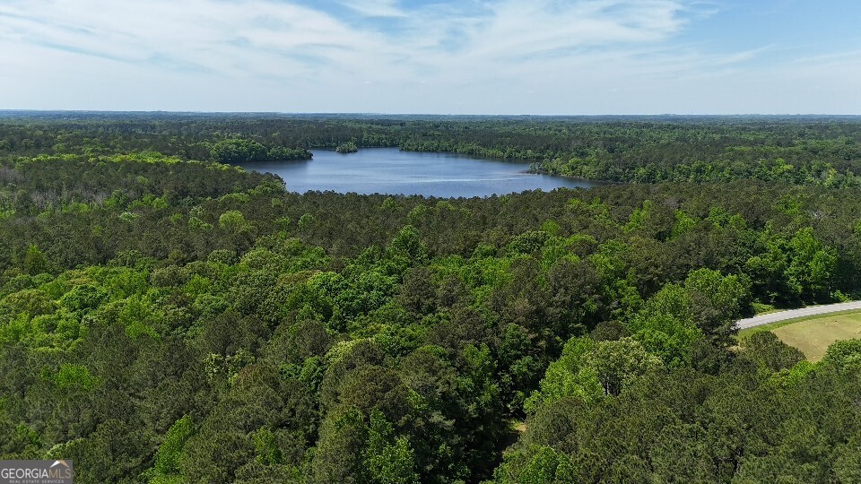 993 Cheatham Road Griffin, GA 30223 - Photo 13 of 15